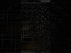 Casun Stator Finishing