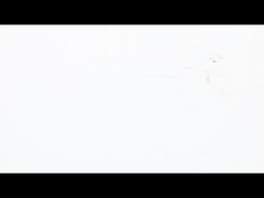 NEMA 23 Pancake Stepper Motor Ultra - Thin High - Torque Performance